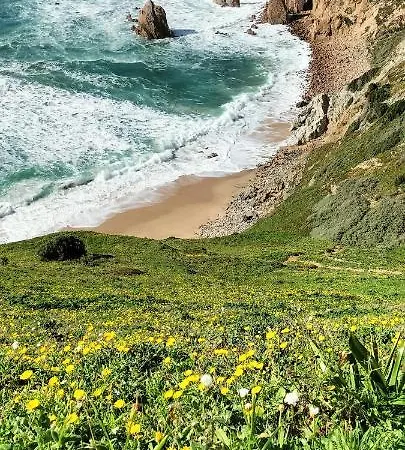 Сasa de vacaciones 2 Bedroom Zen Sintra